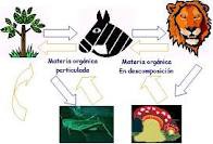 /album/fotogaleria-blog/descarga-3-jpg1/